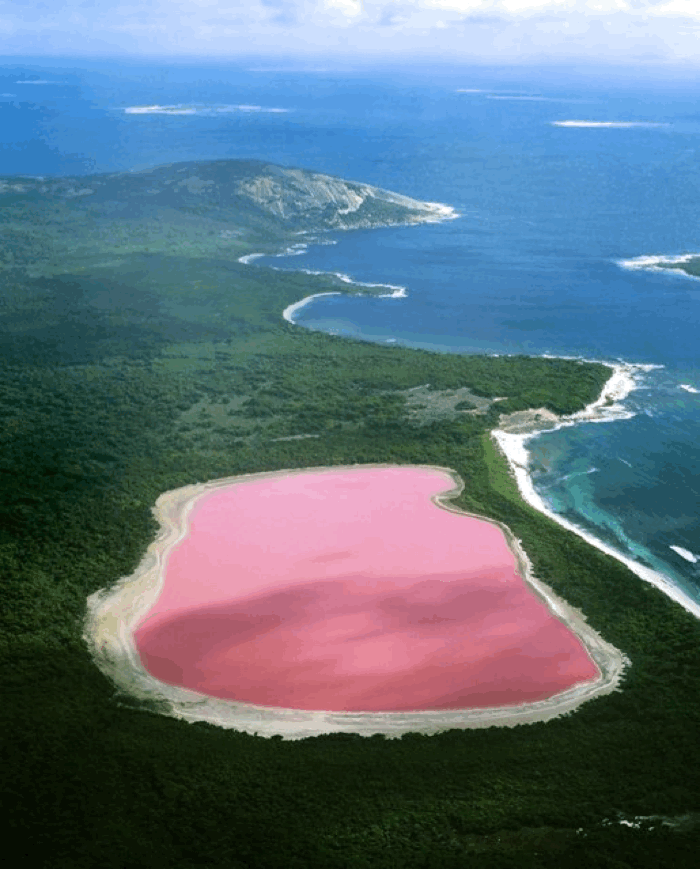 Hiller lake pink lake Western Australia