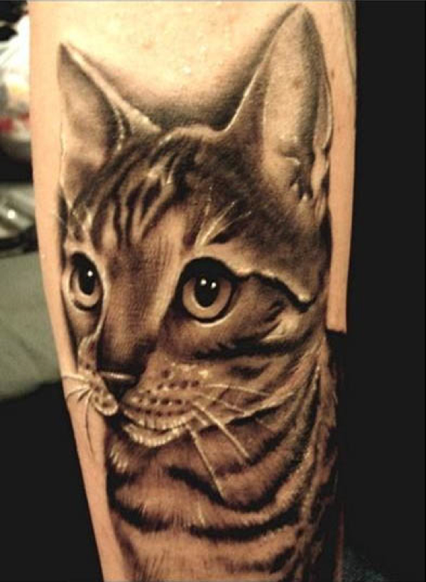 cat-tattoo