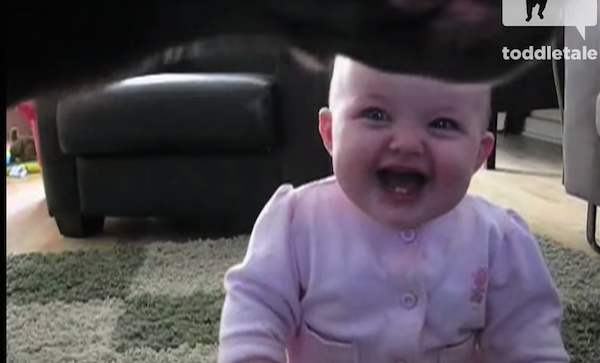Laughing Baby