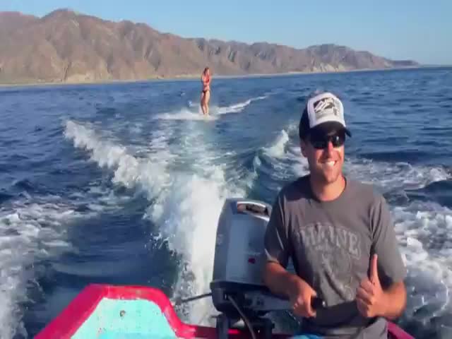 Dolphin Wakeboarding