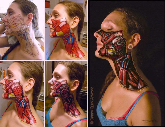 Facial Anatomy Art
