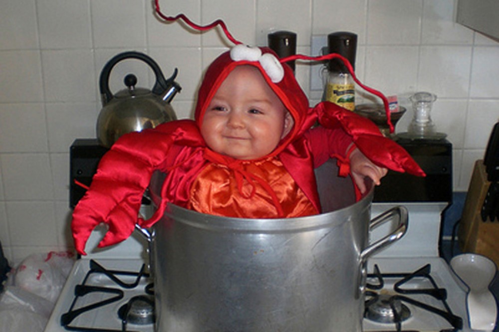 Halloween Costumes For Babies