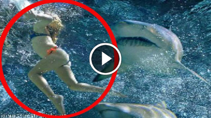 A Woman's Eaten Alive In This Unbelievable Shark Attack! | BoredomBash