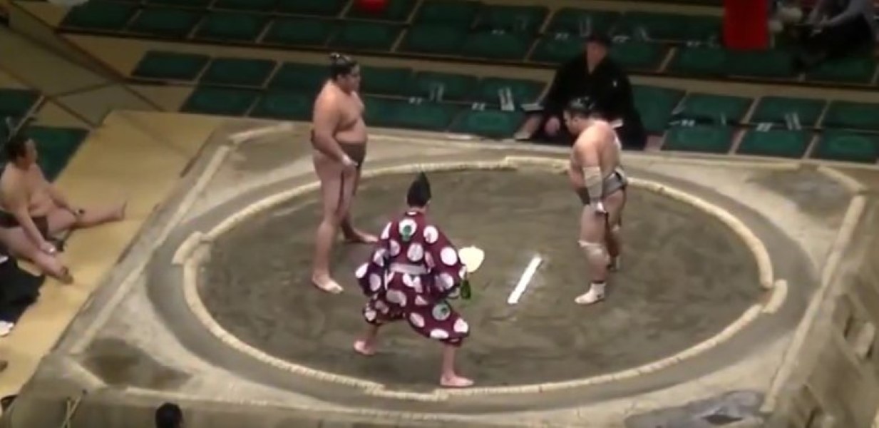 Sumo Wrestling KO
