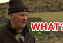 Irish Accent Sheep Farmer