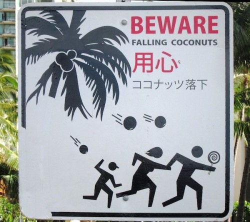 falling_coconuts_Sign