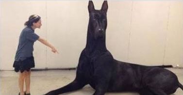 Giant Mutant Dog
