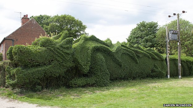 Hedge Like a Dragon