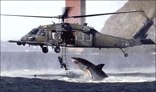 Helipcopter Shark