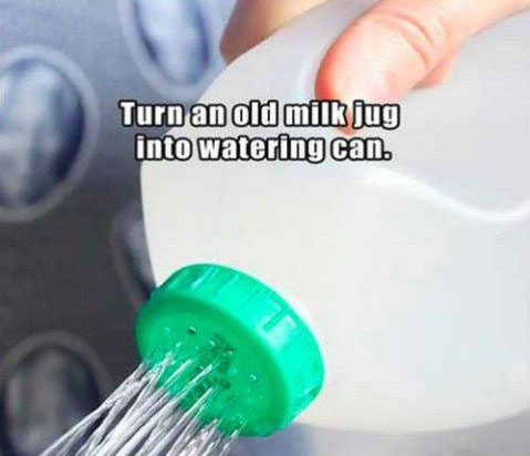turn-and-old-milk-jug-into-a-watering-can