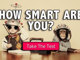 How smart are you test