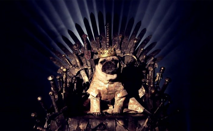 Pugs Game of Thrones (6)