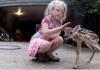 Deer and Kid