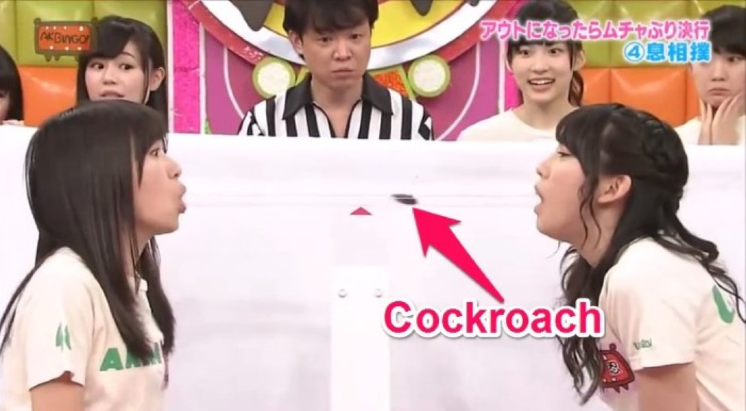 Crazy Japanese Game Show Sees 2 Girls Battle To Try And Blow A Cockroach Into Each Others