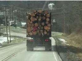 truck tree fail